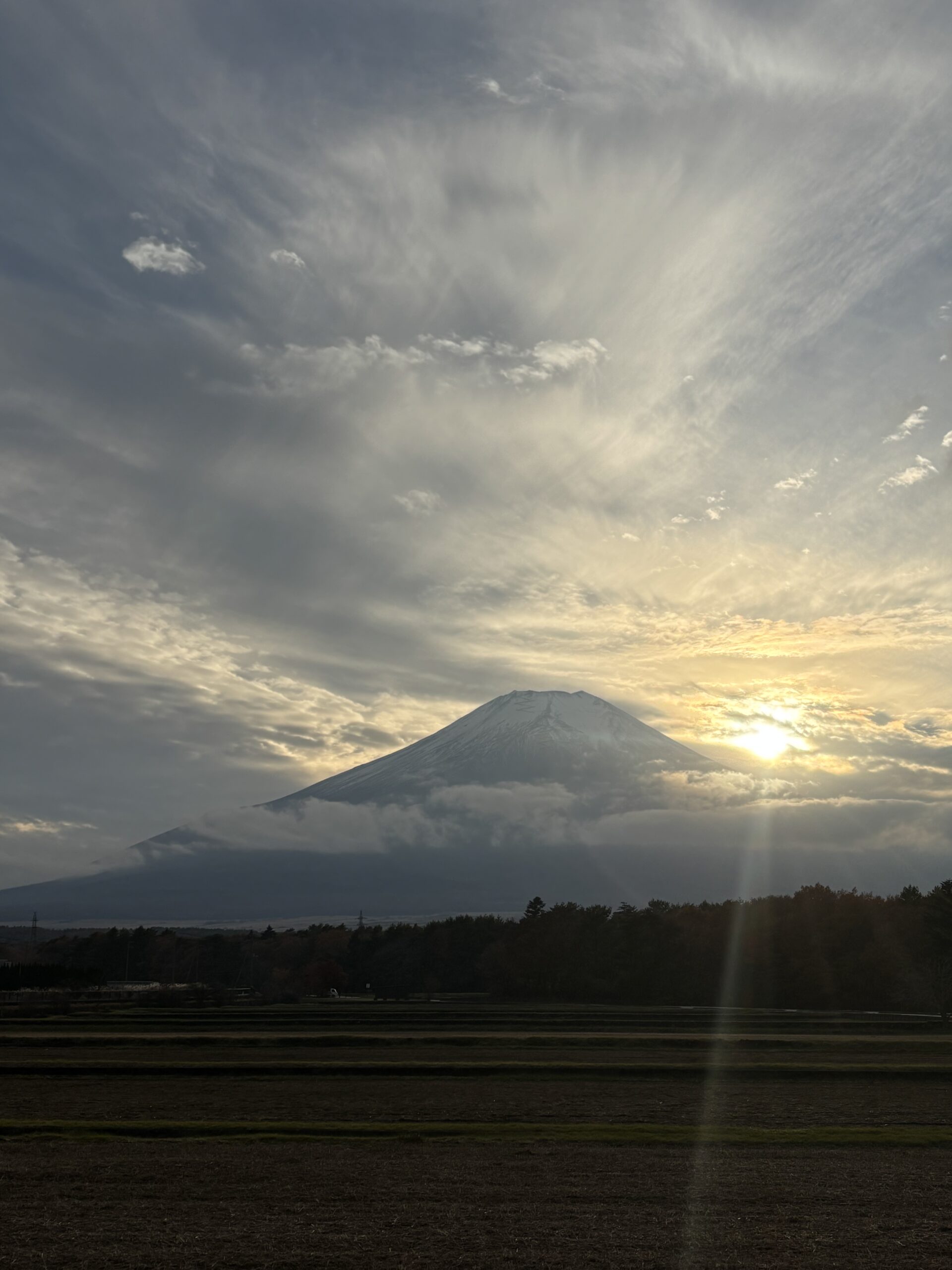 11／12富士山　花の都