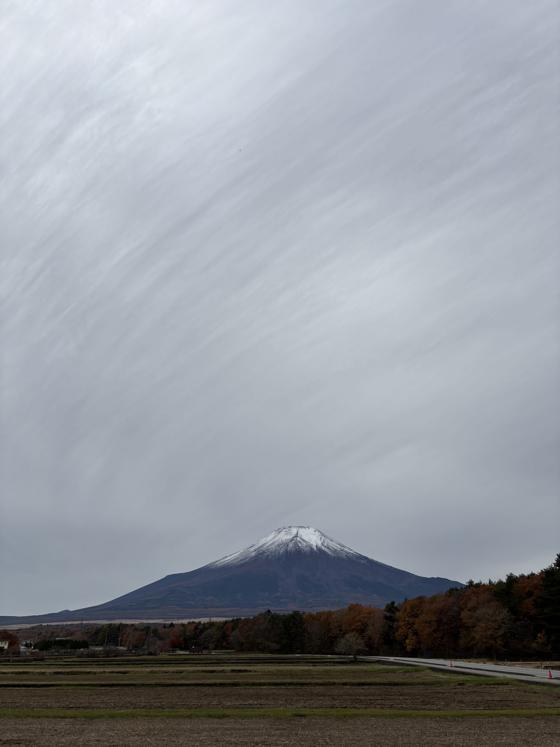 11/13 富士山　花の都