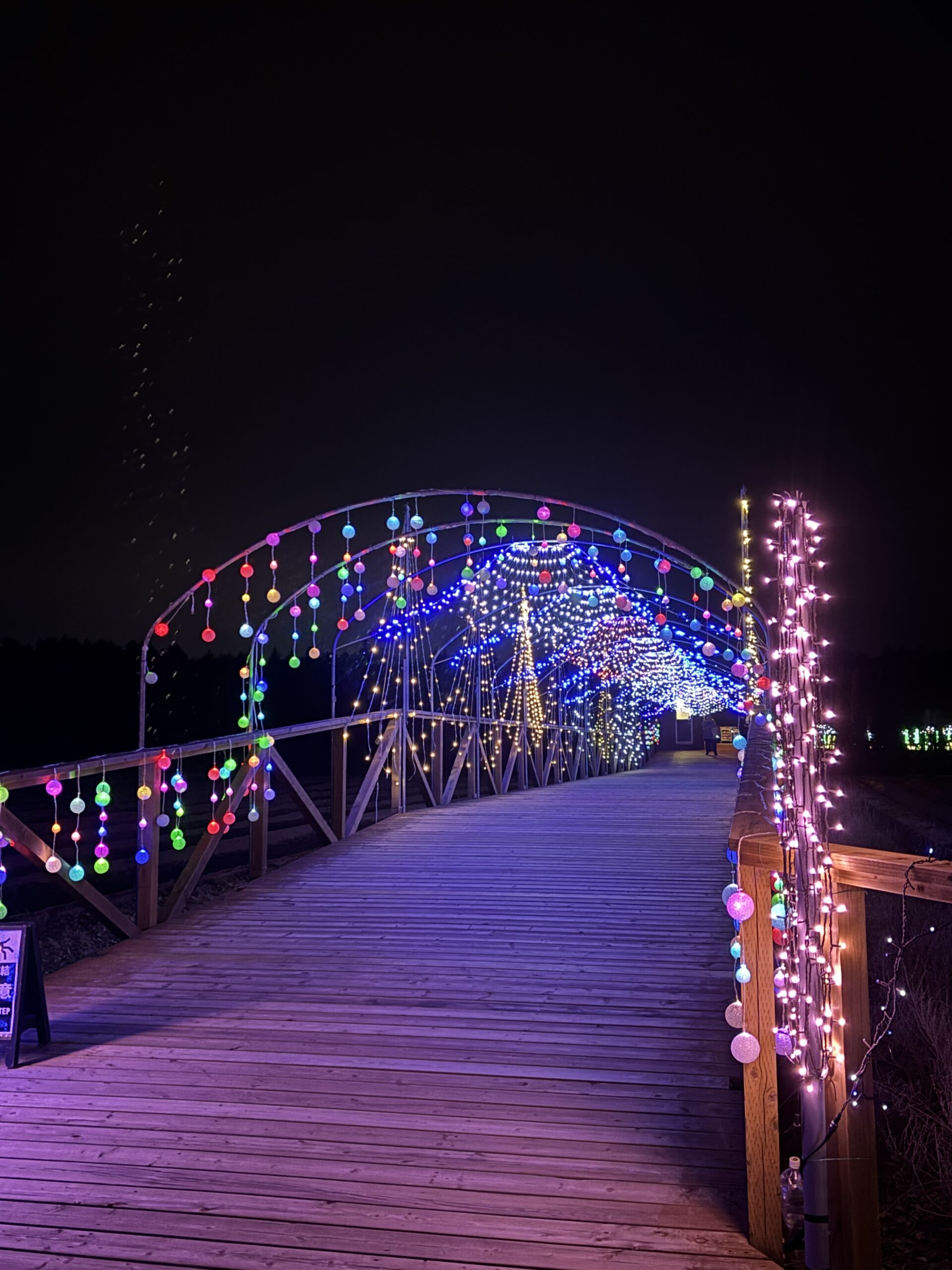 花の都イルミネーション