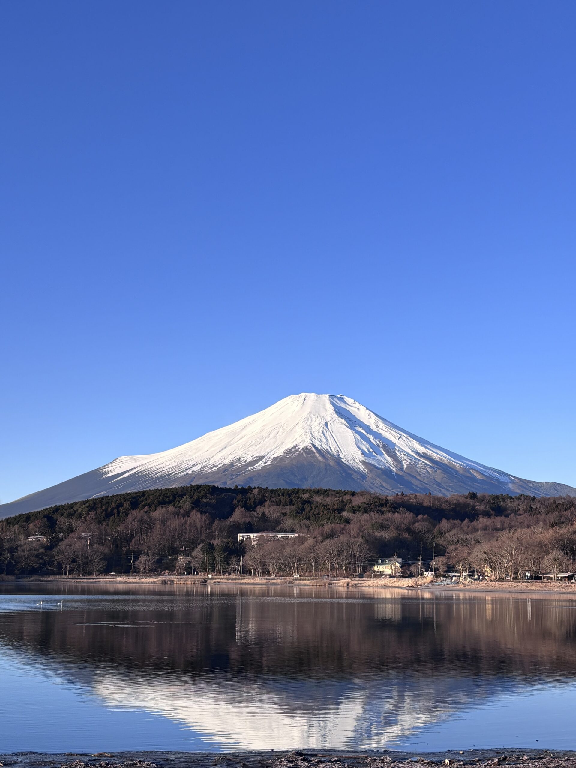 あけましておめでとうございます